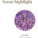 Young Living Lavender Essential Oil 15ml - 100% Pure Aromatherapy Oil for Relaxation & Stress Relief - International Shipping Available - Buy Online on GoSupps.com