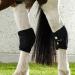 Back on Track Hock Gaiter Right - Black L | Premium Equine Support - International Shipping Available - Buy Online on GoSupps.com