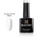 Bluesky Gel Nail Polishes French Manicure Set Studio White 80526 and Clear Pink 80523 Long Lasting Chip Resistant 2 x 10 ml (Requires Curing Under UV LED Lamp) French Manicure 20 ml (Pack of 1) - Buy Online on GoSupps.com