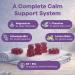 Magnesium Gummies for Stress & Sleep - 300mg Magnesium Complex with Glycinate Citrate Malate & Taurate - Supports Relaxation Muscle & Heart Health - Vegan Sugar-Free Non-GMO - 60 Gummies 60 Count (Pack of 1) - Buy Online on GoSupps.com