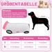 PatinaDrift Dogebody Wound Protection Suit for Dogs - Cone Alternative After Surgery (Pink/Blue Medium) - Buy Online on GoSupps.com