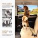 IOKHEIRA Dog Seat Belt - Adjustable Olive Green Dog Car Belt with Universal Plug & Locking Bar for Safe Travel - Buy Online on GoSupps.com
