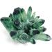 Natural Green Phantom Quartz Crystal Cluster Gemstone Geode 300g-700g 1pc HOMEZHOU (Size : 1PC 500G-580G) - Buy Online on GoSupps.com