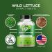 Amazing Botanicals Wild Lettuce Extract Tablets 10X (30 Tablets) 2,000MG Each | Lactuca Virosa | Sleep Support | Helps Naturally Soothe Pain 30 Count (Pack of 1) - Buy Online on GoSupps.com
