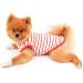 Paidful British Little Dog Shirt - Soft Cotton T-Shirt for Puppies & Small Breeds | Striped Cat Vest | Summer Tank Tops for Chihuahua Yorkie | XL/XXL Sizes Available - Buy Online on GoSupps.com