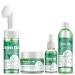 Green Tea Skin Care Set 4-In-1 Skin Care Routine Kit for Women Antioxidat & Anti-Aging Calm & Soothe Skin Cleaning Grease Facial Care Kit with Face Cream Serum Cleanser Mud Mask