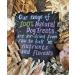 100g Camel Skin Natural Dog Treats Chews - Hypoallergenic & Sourced from Sustainable Livestock - SLCP - Buy Online on GoSupps.com