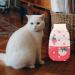 Luckious Brand Winter Pet Jumper and Sweater for Cats and Dogs - Cozy and Warm Pet Clothing X-Small - Buy Online on GoSupps.com