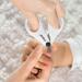 Reer 81060 BabyCare Baby Nail Scissors - Safe & Precise Nail Trimming for Infants - International Shipping Available - Buy Online on GoSupps.com