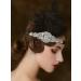 SWEETV 1920s Flapper Headband - Rhinestone Feather Great Gatsby Hair Accessories (Black) - Buy Online on GoSupps.com