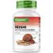 Reishi mushroom - 300 capsules with 650 mg extract - 40% bioactive polysaccharides - 5 months supply - Powerful mushroom Ganoderma Lucidum - Vegan - No additives - High quality