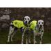 4LEFFRIEND High Visibility Dog Security Vest - Linen Fastening Ring 5 Sizes Safety for Outdoor Activities Yellow (L) - Buy Online on GoSupps.com