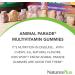 Buy Natures Plus Animal Parade Children s Multivitamin - 50 Gluten-Free Gummies in Assorted Flavors | Shop Internationally - 30 Servings - Buy Online on GoSupps.com
