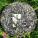 HELLOYOUNG 357g G teau de th Pu'er biologique naturel du Yunnan chinois Ingr dients naturels sans additifs aliment vert avec un ar me riche - Buy Online on GoSupps.com