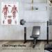 Saluaqui Fitness Workout Poster - Resistance Band Training & Muscle Anatomy for Home Gym | Effective All-Off Exercises with Clear Images - Buy Online on GoSupps.com