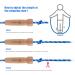Adjustable Cotton Jump Rope for Adults & Kids - 9.6ft Speed Rope with Natural Wooden Handle for Fat Burning & Fitness - Buy Online on GoSupps.com