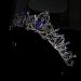 FANCY-J Crown Tiara: Sparkling Rhinestones & Crystals for Women - Perfect for Princess Parties, Weddings, and Proms (Gold-Blue-Black Crystal) - Buy Online on GoSupps.com