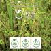 Organic Green Cardamom Powder - Flavorful Aroma | Organic & Kosher Certified | Non GMO & Gluten Free | USDA Certified | 8oz Pack - Origin India - Buy Online on GoSupps.com