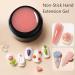 Buy UV Nail Gel 15g*2 - Sealing Gel for Nail Extensions & Art Design - Nude Pink Solid Color Poly Gel - Buy Online on GoSupps.com