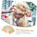 Didiseaon 1 Set Hair Extension Double Sided Tape Extension Tape Double Adhesive Tape Hairpiece Tape Double Side Tape Outdoor Double Sided Tape Outdoor Tape Hair Piece Fiber Wig - Buy Online on GoSupps.com
