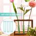 50 Pcs 2.8 Clear Floral Water Tubes with Rubber Lids - Flower Vials for Fresh Arrangements - Buy Online on GoSupps.com