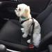 LauCentral Dog Seat Belts for Car 2 Packs Headrest Restraint Puppy Safety Adjustable Dog Car Seatbelts and Strong Leash Leads Accessories for Dogs Cats Pets Black - Buy Online on GoSupps.com