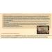 TechnoMedia Bimag + Magnetic Therapy Mat for Single Bed | High Frequency Pain Relief Treatment - Buy Online on GoSupps.com