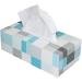 Soft & Absorbent Tissue Towels - High White 2-Layer Extra Soft Perfume-Free | Ideal for Hotels Clinics Labs | 3750 Towels in 25 Trendy Decor Boxes - Buy Online on GoSupps.com