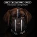 BONTHEE Dog Muzzle Mesh Soft Muzzle for Small Medium Large Sized Dogs Breathable Reflective Adjustable Puppy Muzzles with Collar for Scavenging Grooming Biting Chewing Allows Panting and Drinking XXL - Buy Online on GoSupps.com
