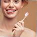 Gleavi 300 Pack Disposable Toothbrushes - Portable Travel Toothbrushes with Toothpaste for Bathroom & On-the-Go Use - Buy Online on GoSupps.com