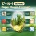 VivoNu Spirulina Chlorella Capsules 3100mg & 24-in-1 Vitamin B Complex Gummies for Women and Men - Buy Online on GoSupps.com