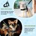 Eyein No-Pull Dog Harness with Leash Adjustable Padded & Reflective for Small to Large Pets Black (M) - Buy Online on GoSupps.com