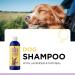 Smelly Dog Solution: Colloidal Oatmeal Dog Shampoo for Dry Skin and Refreshing Baths - Lavender & Oatmeal Scented for Clean & Great Smelling Pups - Buy Online on GoSupps.com