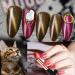 Dazzle with Omainy Cat Eye Gel Nail Polish Set - Soak Off UV LED Nail Art - 6 Colors + Magnet Included - Buy Online on GoSupps.com