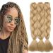 Tess Braids Extensions Blond 60 cm 3 pack Jumbo Braids Kanecalon Kunsthaar For single-leased box braids hair extension braid 100g/bundle of hair braids extension (3 pieces #24 medium blonde) 60 cm (3 pieces) #24 medium blonde