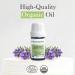 Pranarom USDA Certified Organic Lavender Essential Oil (5ml) 100% Pure Undiluted Therapeutic Grade from French Alps for Aromatherapy Diffuser Healthy Skin & Hair Massage Relaxation 0.17 Fl Oz (Pack of 1) - Buy Online on GoSupps.com