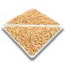 Eichkater Pine Nuts Medium 1-Pack (1kg) - Premium Quality International Shipping Available - Buy Online on GoSupps.com