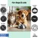 Cats and Dogs Water Additive for Oral and Dental Care: Eliminate Bad Dog Breath and Cat Bad Breath - Dog Breath Freshener - Fights Tartar & Plaque - Just Add to Water! (50ml (Pack of 1)) - Buy Online on GoSupps.com