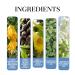 Men's Roller Pheromone Cologne Perfume Oils For Man Travel Size Cologne Roll On Glass Bottle Long Lasting Scent Enhanced Scents Sampler (2pcs) - Buy Online on GoSupps.com