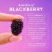 Glow Recipe Gentle Blackberry Retinol Night Serum - Anti Aging Korean Face Serum for Sensitive Skin + Hydrating Triple Retinoids & Glycerin to Clarify Blemishes Smooth Texture Lines & Wrinkles 30ml - Buy Online on GoSupps.com