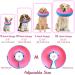 FWLWTWSS Inflatable Protective Collar for Dogs & Cats | Adjustable Velcro Fastener | Leak Protection for Recovery After Operations (Pink Size M: 20.3cm-30.5cm) - Buy Online on GoSupps.com