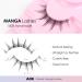 Oreola Manga Lashes with Clear Band False Eyelashes Natural Look Wispy Spiky Lashes 7 Pairs Strip Lashes Crossed Anime Lashes Look Like Individual Lashes Cluster Manga-A06 - Buy Online on GoSupps.com