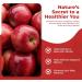 Apple Cider Vinegar Capsules - 1300 mg Daily Wellness Supplement - Easy to Swallow Natural Flavored - 60 Count (30 Day Supply - Buy Online on GoSupps.com