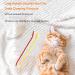 10pcs Dog Toothbrush DKDDSSS Long Handle Double Head Dog Toothbrushes Cat Teeth Cleaning Toothbrush for Pet Dogs Cats Puppy Dental Care Toothbrush - Buy Online on GoSupps.com