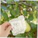 Yardwe 10 Pcs Square Apple Molds Clear Fruit Mushroom Mold Plastic Fruit Garden Melon Mold Alien Shaped - Buy Online on GoSupps.com