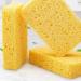 40pcs Kitchen Cleaning Sponge Natural Pulp Cotton Dishwashing Sponges Cleaner for Kitchen Bathroom Cleaning Tools Sponge Wipes for Kitchen - Buy Online on GoSupps.com