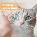 Felisept Wound Gel for Cats 20ml - Cat wound treatment - Cat antibiotics for infections - Cat Wound Ointment - Cat Wound Gel for cleaning and care of wound areas - Buy Online on GoSupps.com