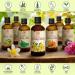 St. John's Wort Infused Oil 3.4 Fl Oz - 100% Pure & Natural for Face, Body, Skin, Hair & Massage - Buy Online on GoSupps.com