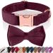 Asvin dog collar velvety with removable dog fly soft and comfortable dog collar multicolored velvety dog collar for weddings birthdays parties etc.