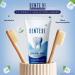 Dente.91 Enamel Pro Toothpaste| Sensitivity Relief | Repairs Cavities | Fights Gum Disease | Reduces Bad Breath | Strengthens Enamel | SLS Free | Fluoride Free | Paraben Free Pack of 1 100g - Buy Online on GoSupps.com